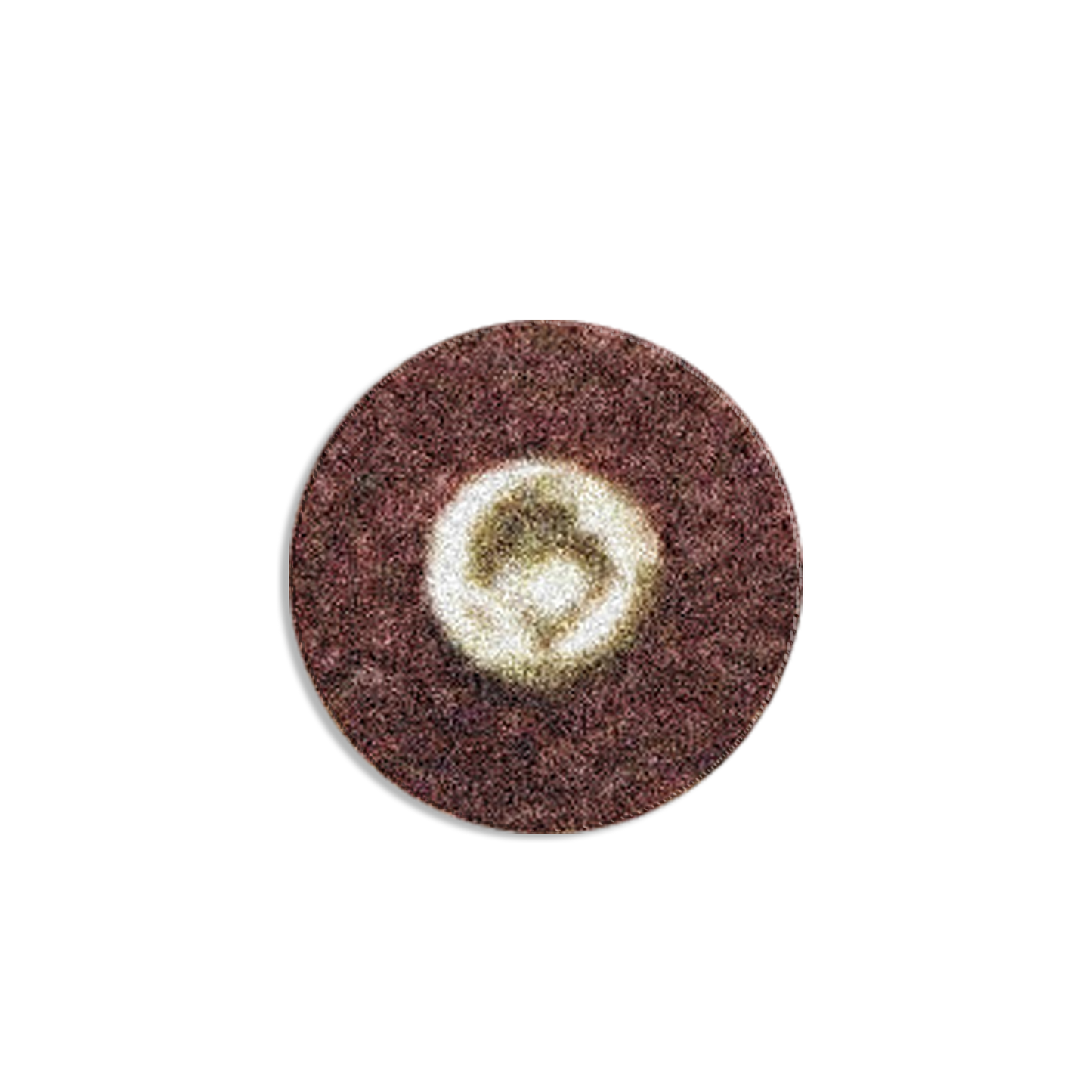 BC78GXCBB Garnet Disc (X-Coarse)