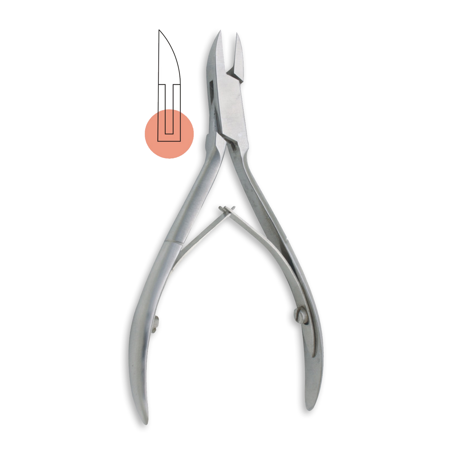 Nail Cutters 4.5” Straight Jaw (For Detail Work)