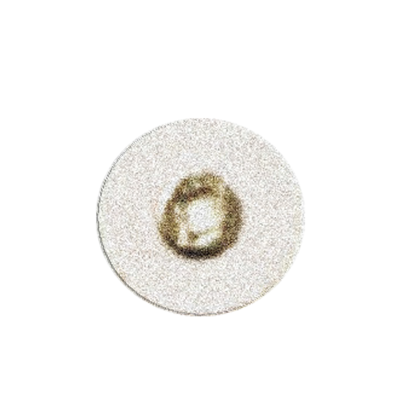 Sand Disc (X-Fine)