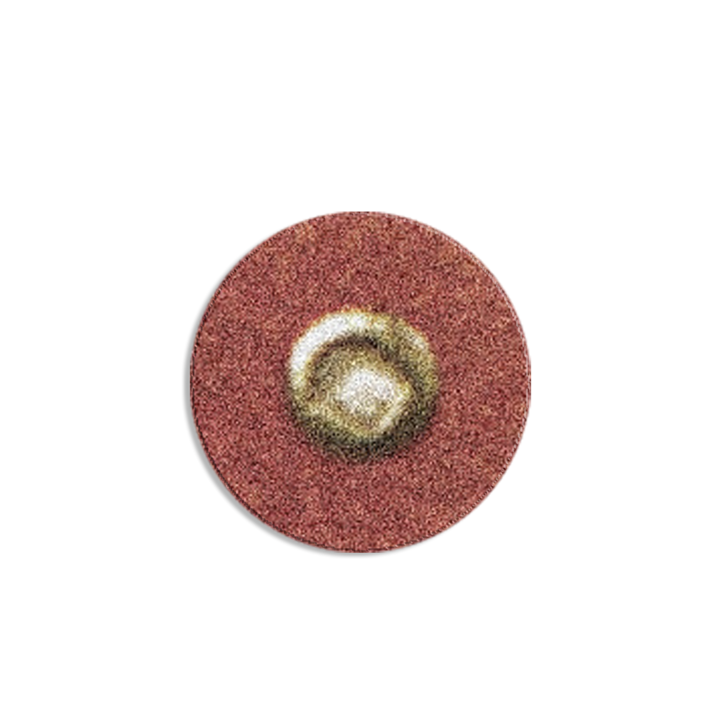 BC78GFBB Garnet Disc (Fine)
